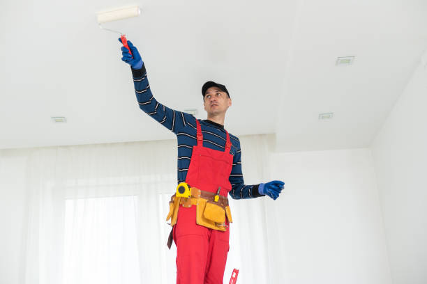 Reliable Union City, OK Mold Removal Solutions